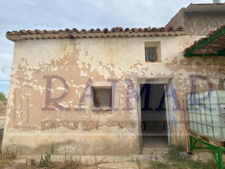 WhatsApp Image 2021-08-23 at 11.16.42 (4)